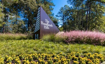 119 Buttonwood Ct in Willis, TX - Building Photo - Building Photo