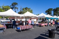 Apartments in Monterey, CA