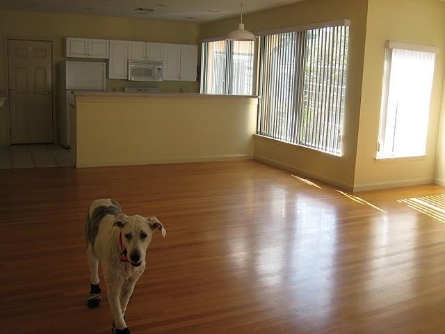 31 Channing St, Unit 1 in Newton, MA - Building Photo - Building Photo