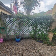 726 Country Pl Dr in Houston, TX - Building Photo - Building Photo