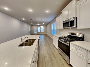 162 Camelia St in Garland, TX - Foto de edificio - Building Photo