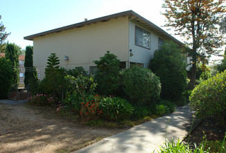 7201-7245 Bark Ln in San Jose, CA - Building Photo - Building Photo