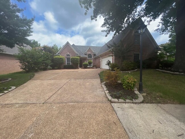 1676 Von Hall Dr in Collierville, TN - Building Photo - Building Photo