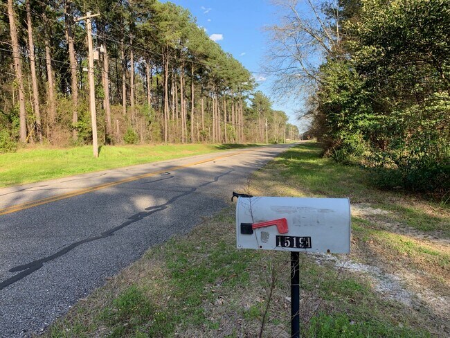 1519 Butter and Egg Rd in Troy, AL - Building Photo - Building Photo