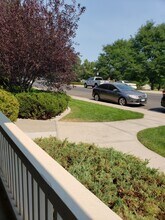 5225 White Willow Dr in Fort Collins, CO - Building Photo - Building Photo