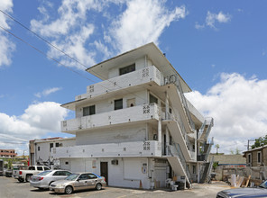 766 Puuhale Rd in Honolulu, HI - Building Photo - Primary Photo