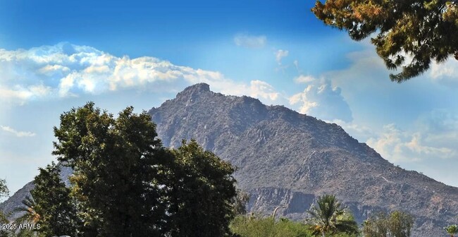 7494 E Earll Dr in Scottsdale, AZ - Building Photo - Building Photo