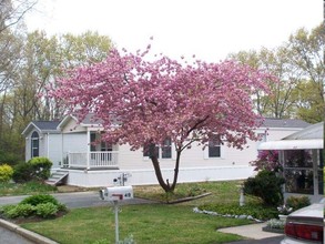 Shore Park Trailer Court in Manasquan, NJ - Building Photo - Building Photo