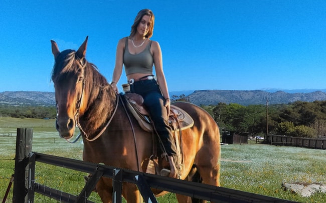 property at 26178 Whispering Oak Ln