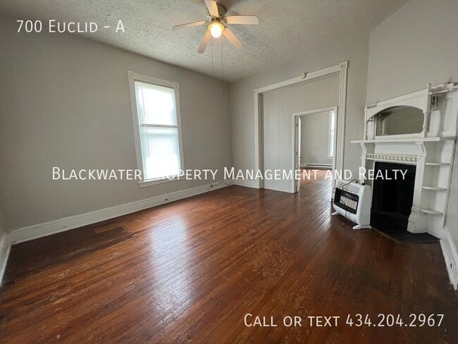 700 Euclid Ave in Lynchburg, VA - Building Photo - Building Photo