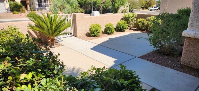 2505 Springville Way in Henderson, NV - Building Photo - Building Photo