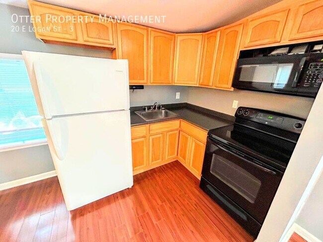 20 E Logan St in Philadelphia, PA - Building Photo - Building Photo