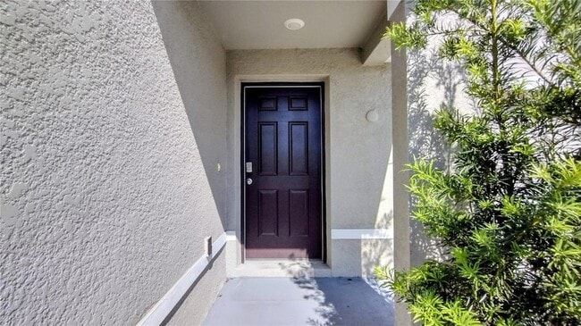 16702 Carlton Pond St in Wimauma, FL - Building Photo - Building Photo