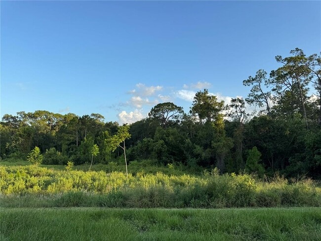 6298 Lakepine St in St. Cloud, FL - Building Photo - Building Photo