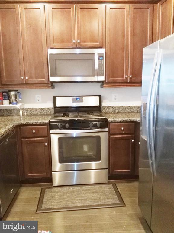 44037 Etna Terrace in Chantilly, VA - Building Photo - Building Photo