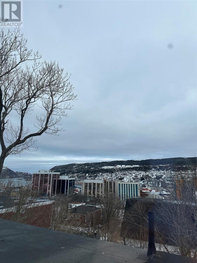 143 Lemarchant Rd in St John's, NL - Building Photo - Building Photo