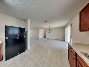 905 Dove Meadows Dr in Arlington, TX - Building Photo - Building Photo
