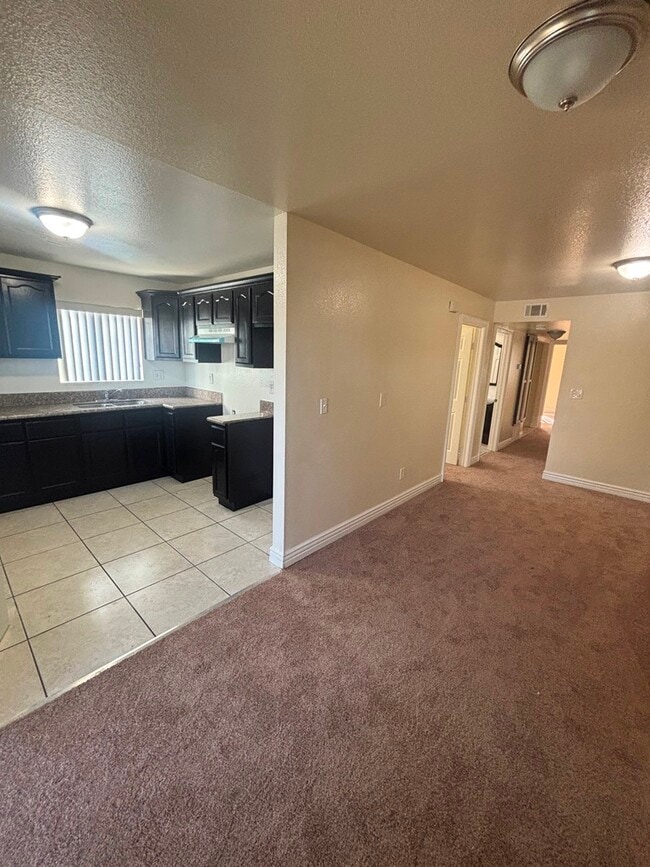 326 E 101st St in Los Angeles, CA - Foto de edificio - Building Photo