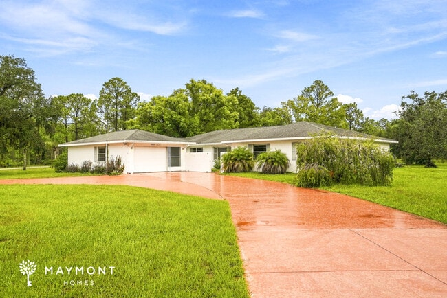property at 3500 Plumosa Dr