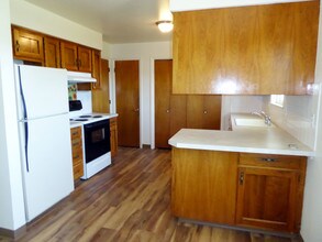 3209 E Locust St in Fort Collins, CO - Building Photo - Building Photo