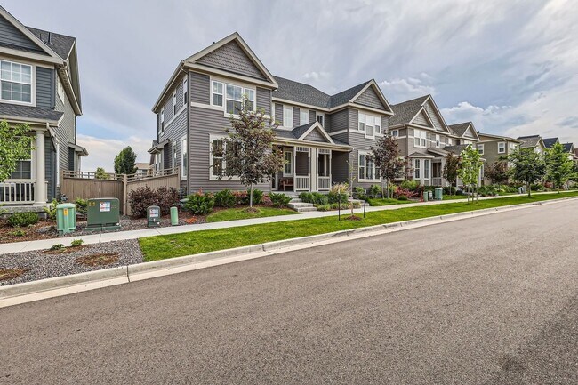 583 Greenville in Erie, CO - Building Photo - Building Photo