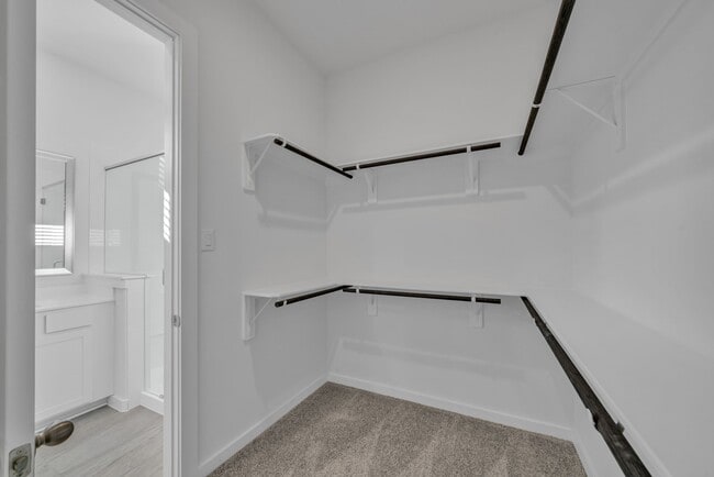 property at 3244 Loam Ln