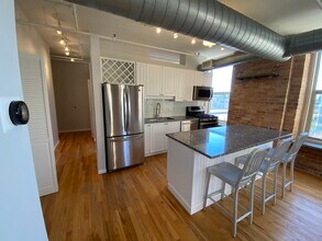 420 S Clinton St in Chicago, IL - Building Photo - Building Photo