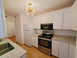 401 E Ontario St, Unit 410 in Chicago, IL - Building Photo - Building Photo