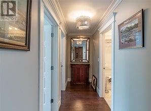 47 Duckworth St in St John's, NL - Building Photo - Building Photo