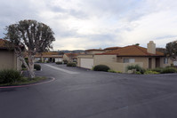 Ascot Park Meadows in Bonsall, CA - Building Photo - Building Photo