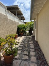 233 Turf View Dr in Solana Beach, CA - Building Photo - Building Photo