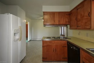 20991 Recher Ave in Euclid, OH - Building Photo - Building Photo