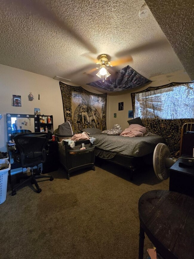 37077 Northwest Dr in Windsor, CO - Building Photo - Building Photo