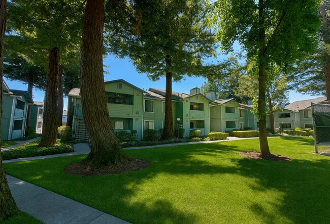 Vintage Pointe Apartments in Rohnert Park, CA - Building Photo - Building Photo