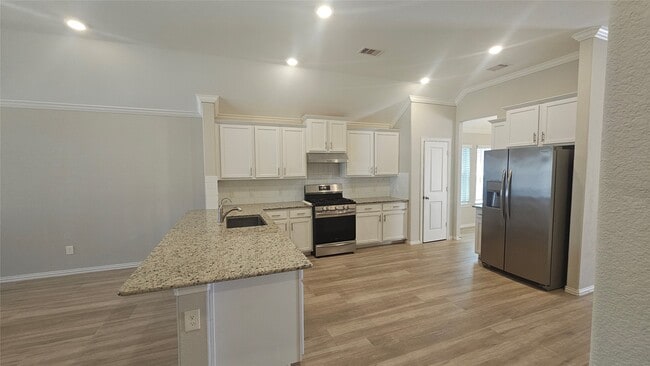 3529 Brian Valley Ct in Spring, TX - Building Photo - Building Photo