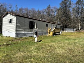 499 Tanzman Rd in Parksville, NY - Building Photo