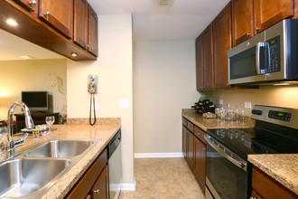 Remington Place Apartments in Schaumburg, IL - Building Photo - Interior Photo