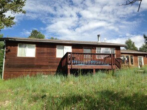 230 Pine Dr in Fairplay, CO - Building Photo - Building Photo