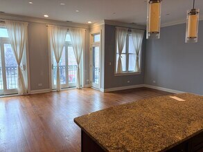 218 N Halsted St in Chicago, IL - Building Photo - Building Photo