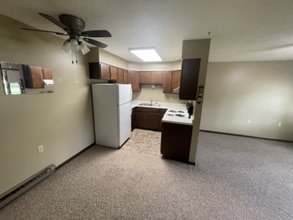 409 Angie St in Sanborn, IA - Foto de edificio - Building Photo