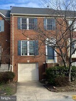 8118 Madrillon Springs Ln in Vienna, VA - Building Photo