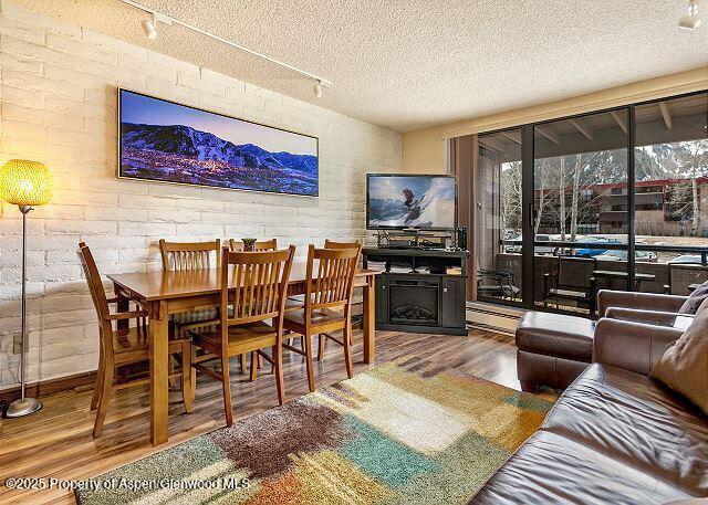 313 Vine St in Aspen, CO - Building Photo - Building Photo