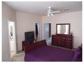 10855 Dragonwood Dr in Tampa, FL - Building Photo - Building Photo