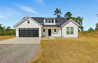 152 Spring Hollow Trail in Smithville, TX - Building Photo