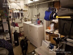 1309 W Barry Ave in Chicago, IL - Building Photo - Building Photo