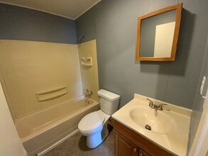 205 North St in Ridge Farm, IL - Building Photo - Building Photo