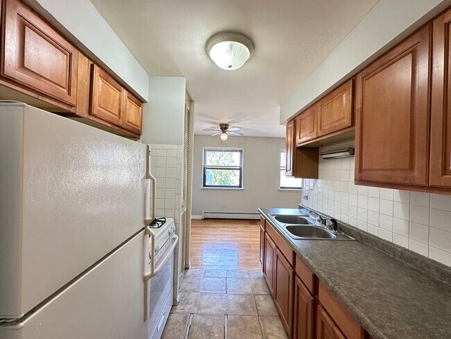 513 W Briar Pl in Chicago, IL - Building Photo - Building Photo