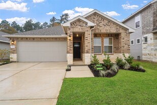 18123 Martin Pines Dr in Conroe, TX - Building Photo