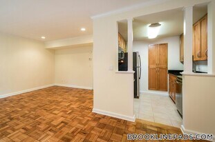 51 Thornton Rd in Brookline, MA - Building Photo