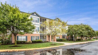 17054 N Brandt St in Lewes, DE - Building Photo